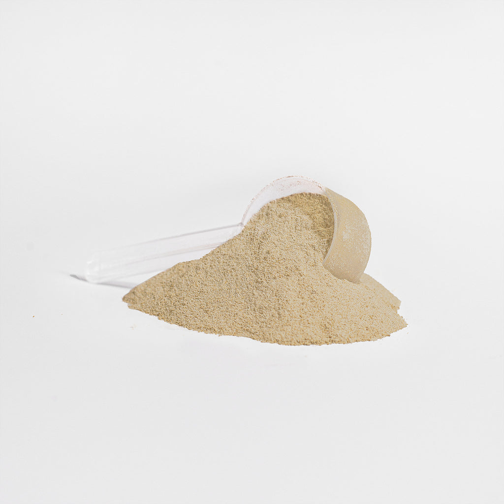 MUSCLE RECOVERY PURE 100% Whey Protein Isolate (Vanilla)