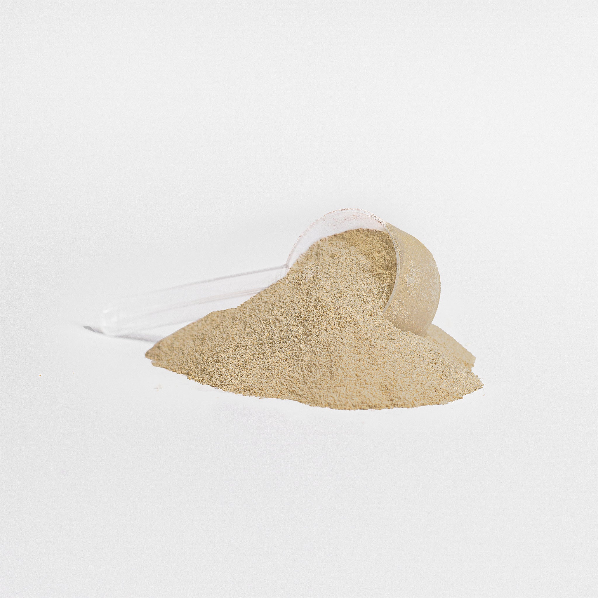 MUSCLE RECOVERY PURE 100% Whey Protein Isolate (Vanilla)